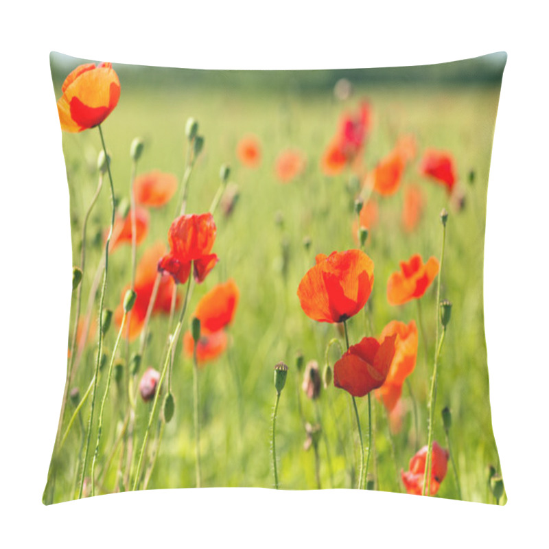 Personality  Summer Blooming Poppy Field Pillow Covers