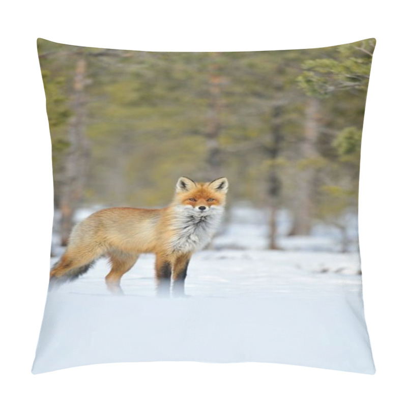 Personality  Red Fox On Snow In Winter Pillow Covers