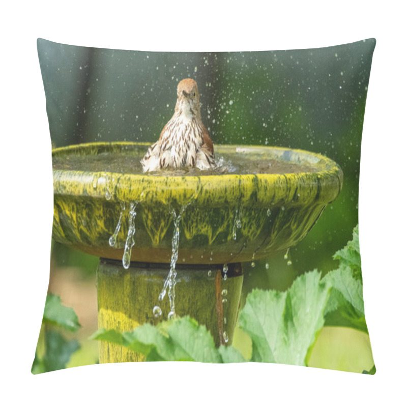 Personality  Brown Thrasher Songbird Splashing In Backyard Birdbath. Horizontal Outdoor Photograph Pillow Covers