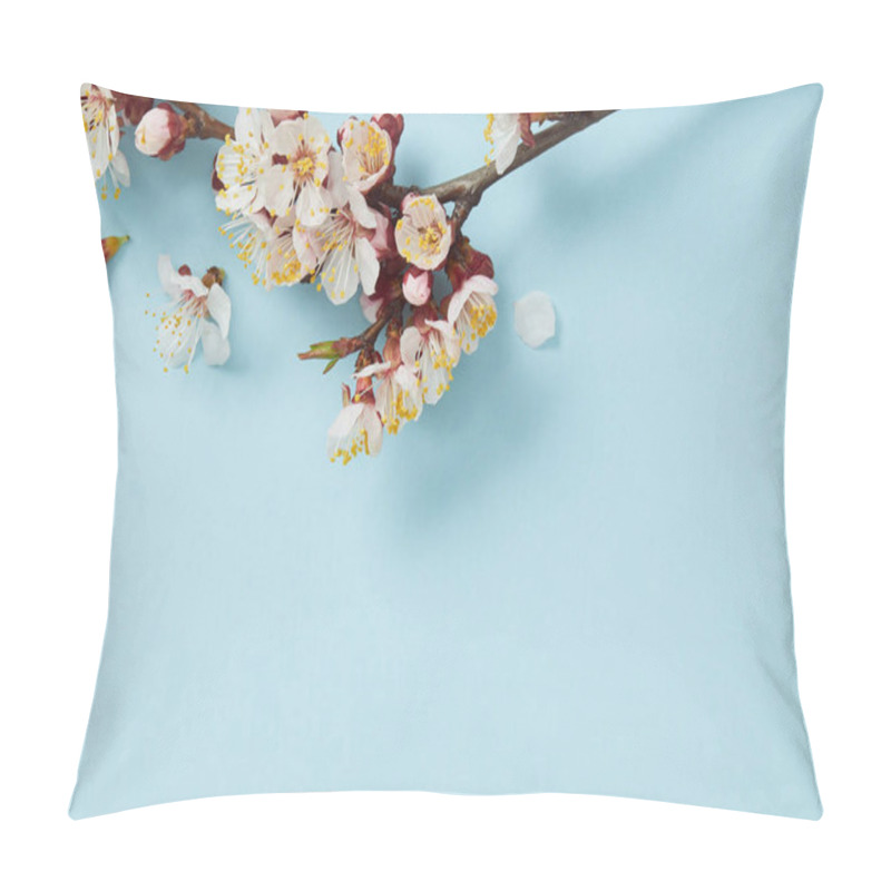 Personality  Close Up Of Tree Branch With Blossoming White Flowers On Light Blue Background Pillow Covers