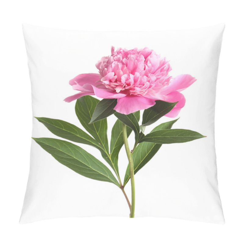 Personality  Beautiful Fresh Peony Flower With Leaves On White Background Pillow Covers