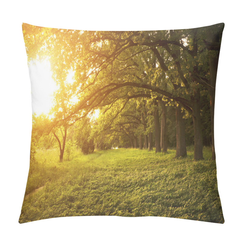 Personality  Avenue Of Oak Pillow Covers