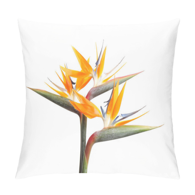 Personality  Bird Of Paradise Tropical Flowers Isolated On White Pillow Covers