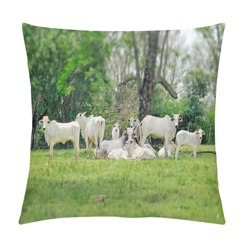 Personality  Zebu Outsiade Pillow Covers