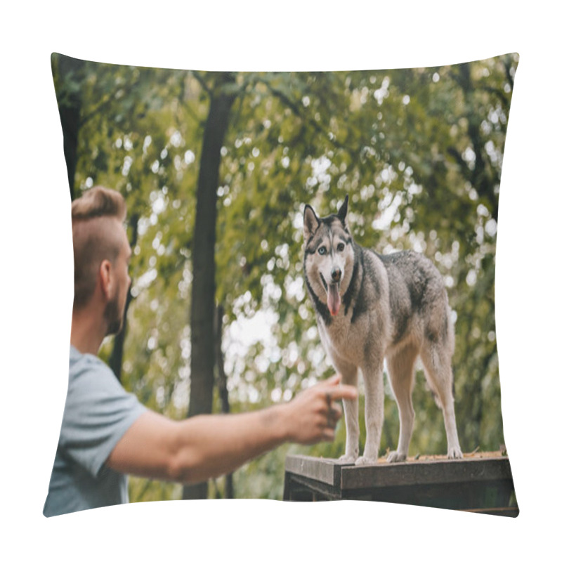 Personality  Siberian Husky On Dog Walk Obstacle In Agility Trial, Selective Focus Of Pointing Man  Pillow Covers