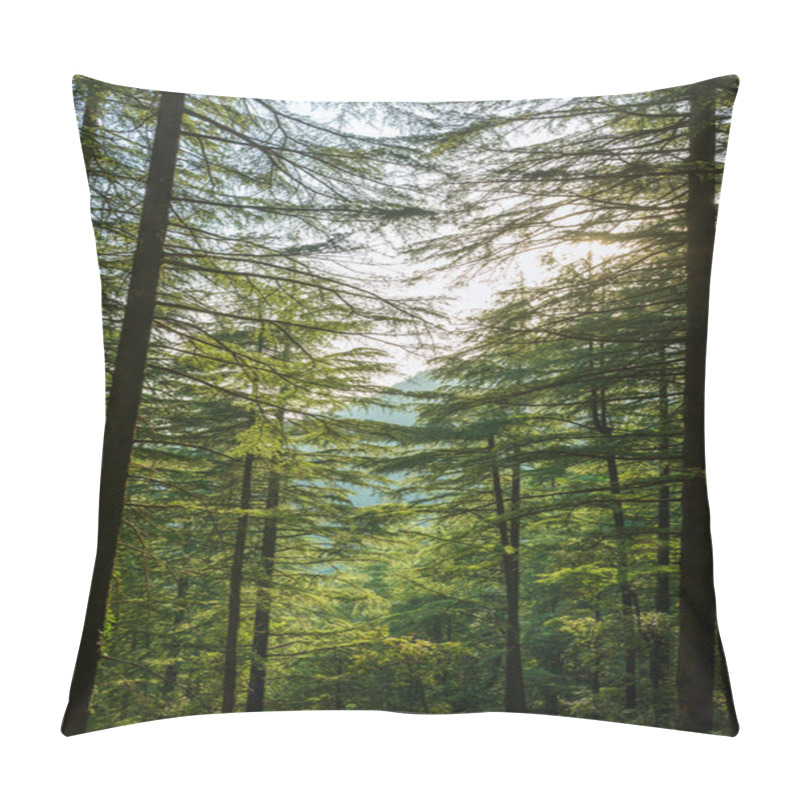 Personality  Path Through Green Pines Forest Pillow Covers