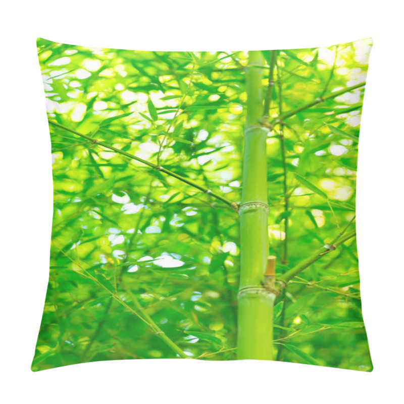 Personality  Green Bamboo Background Pillow Covers