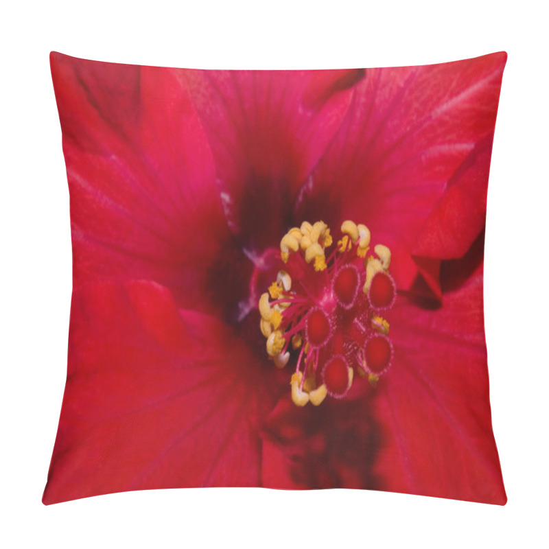 Personality  Etreme Close Up Hibiscus Pillow Covers