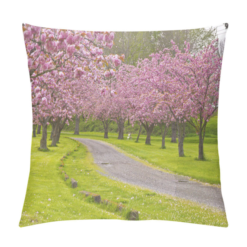 Personality  Spring Blooms Pink Row Trees In A Park. Pillow Covers