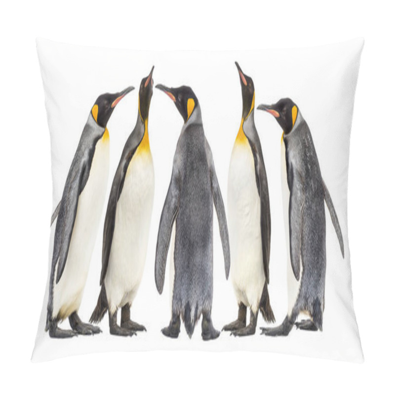 Personality  King Penguins Walking In A Row, Isolated Pillow Covers