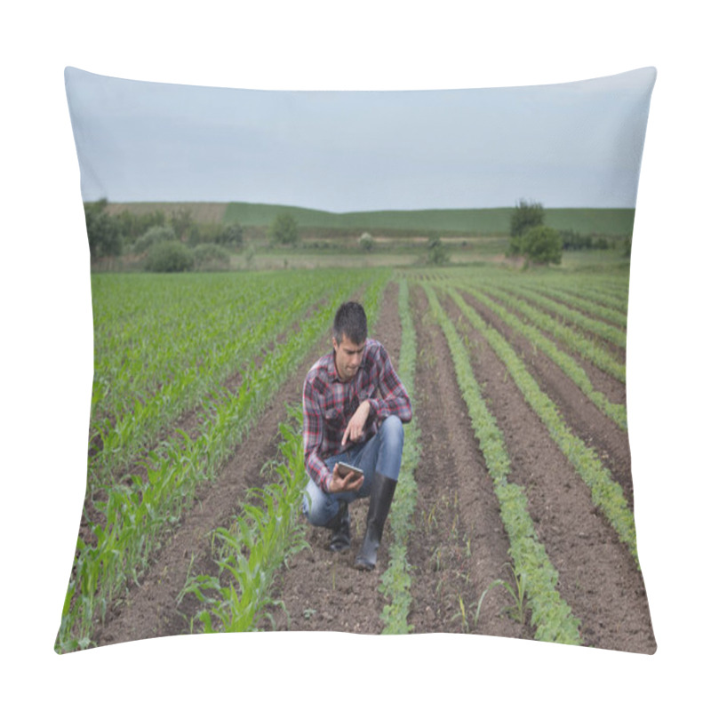 Personality  Young Handsome Farmer With Tablet Squatting Between Soybean And Corn Field In Spring. Agribusiness And Innovation Concept Pillow Covers