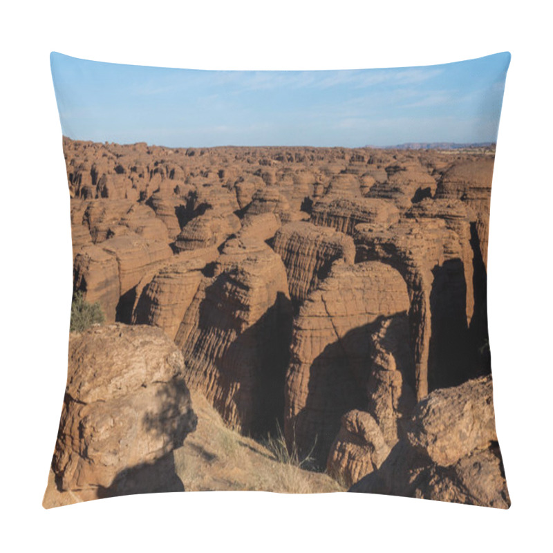 Personality  Labyrithe Of Rock Formation Called D'Oyo In Ennedi Plateau On Sahara Dessert, Chad, Africa. Pillow Covers