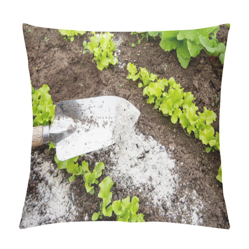 Personality  Gardener Hand Sprinkling Wood Burn Ash From Small Garden Shovel Between Lettuce Herbs For Non-toxic Organic Insect Repellent On Salad In Vegetable Garden, Dehydrating Insects. Pillow Covers