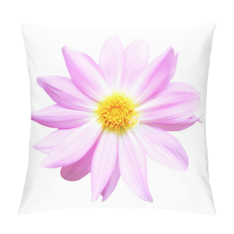 Personality  Beautiful Pink Pastel Dahlia Flower Isolated On White Background. Natural Floral Background. Floral Design Element Pillow Covers