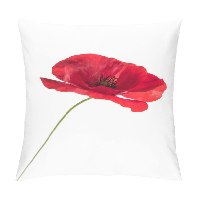 Personality  Fresh Poppy Flower Pillow Covers