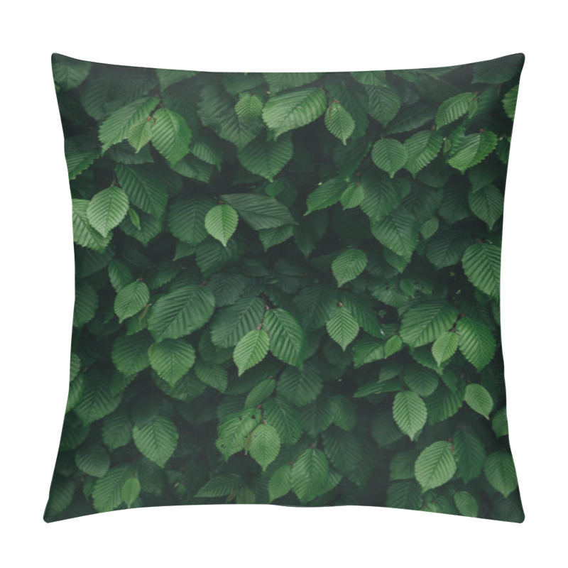 Personality  Closeup View Of Dark Green Natural Bush Leaves Pattern. Vertical Background. Pillow Covers