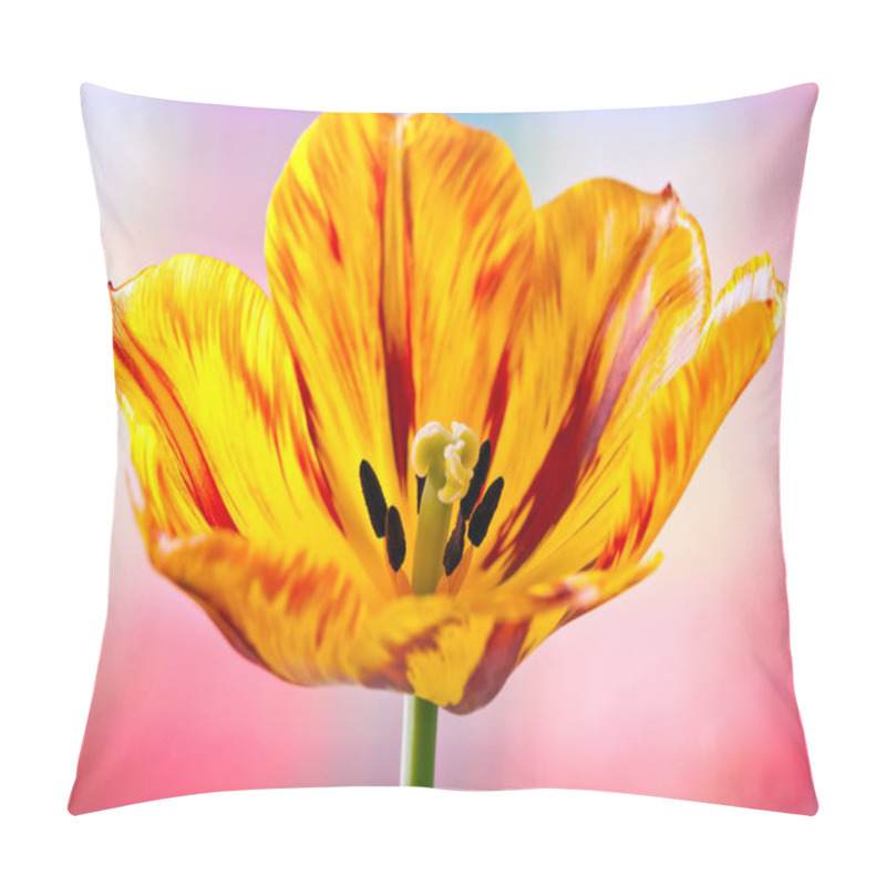 Personality  Tulip Blossom Completely Pillow Covers