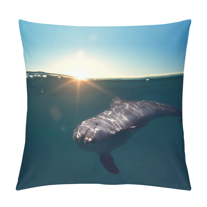 Personality  Funny Dolphin Smiling Underwater Pillow Covers