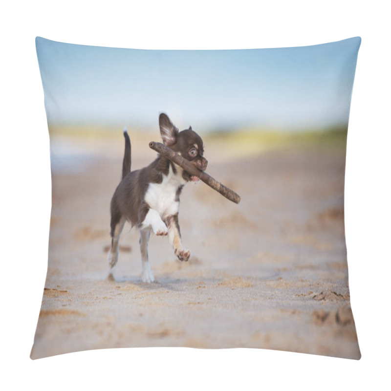 Personality  Brown Chihuahua Puppy Outdoors In Summer Pillow Covers