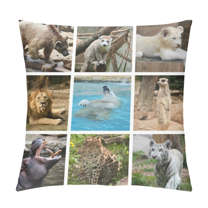 Personality  Wilflife Animals Collage Pillow Covers