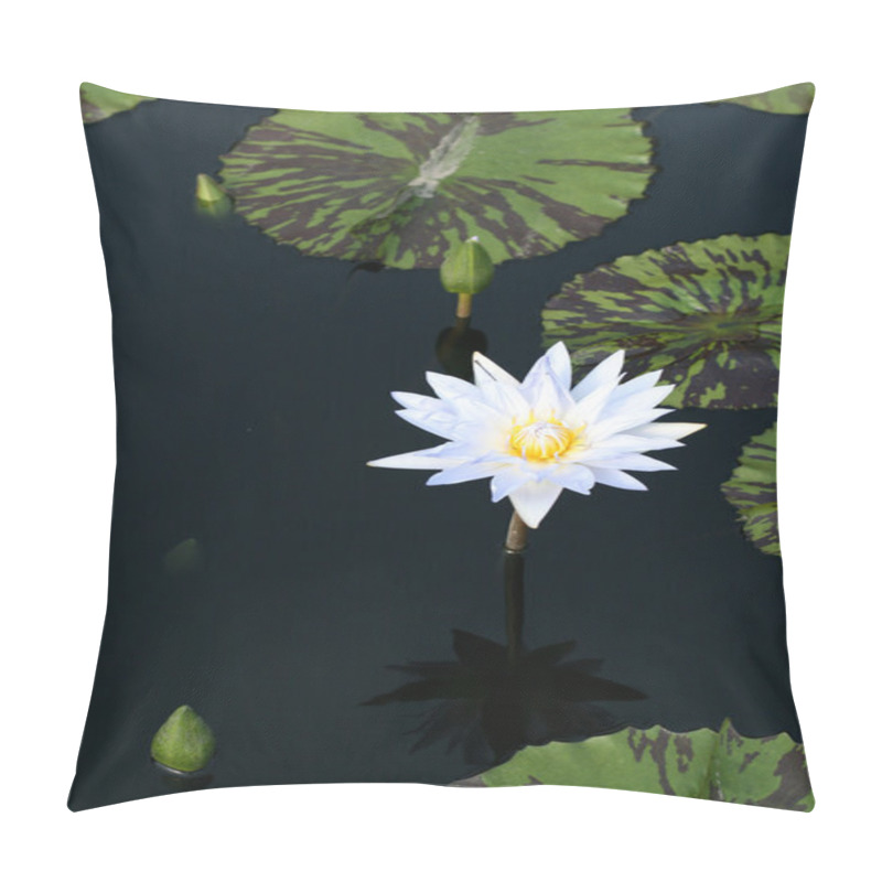 Personality  Water Lily In A Pond Pillow Covers