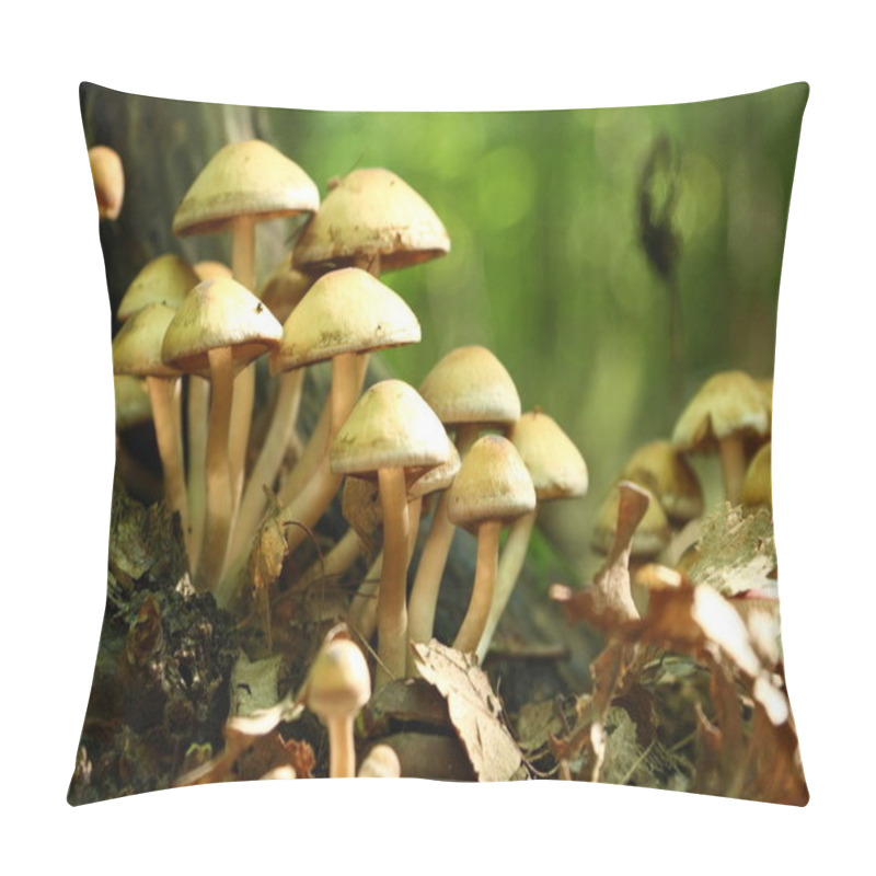 Personality  Group Of Poisonous Mushroom In A Forest Pillow Covers