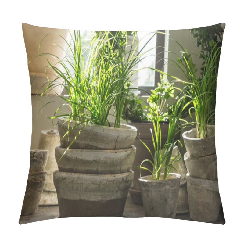 Personality  Green Plants In Old Clay Pots Pillow Covers