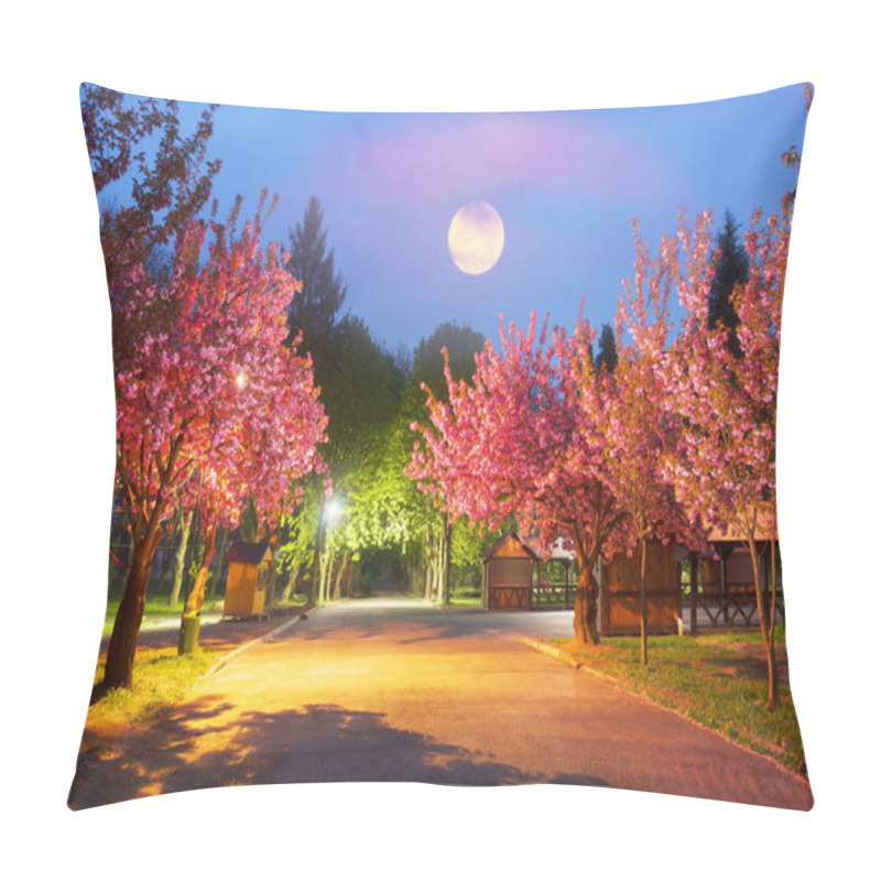 Personality  View Of Japanese Cherry Flowers Blossom In City Garden In Uzhgorod And Mukachevo  Pillow Covers