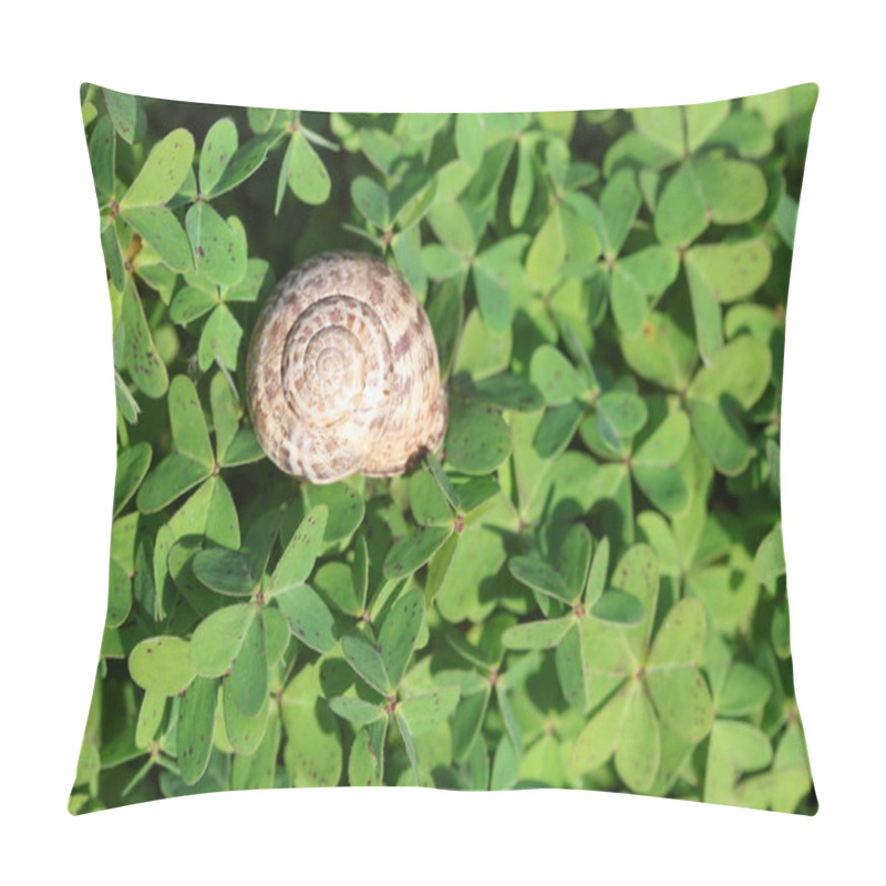 Personality  A Snail On Green Oxalis Pes-caprae Background Pillow Covers