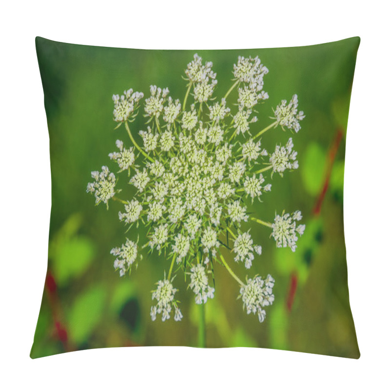 Personality  Beautiful Cow Parsnip Heracleum  Pillow Covers