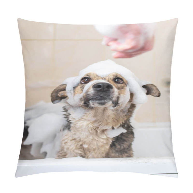 Personality  Faceless Person Washing The Dog Taking A Shower With Soap And Water Pillow Covers