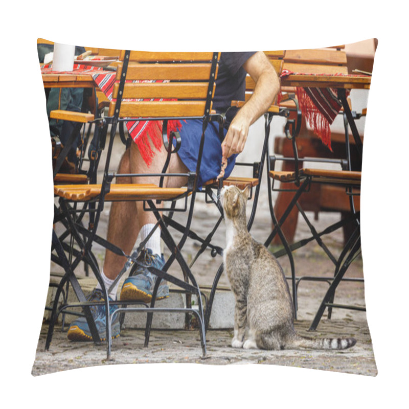 Personality  Feeding A Cat In The City Pillow Covers