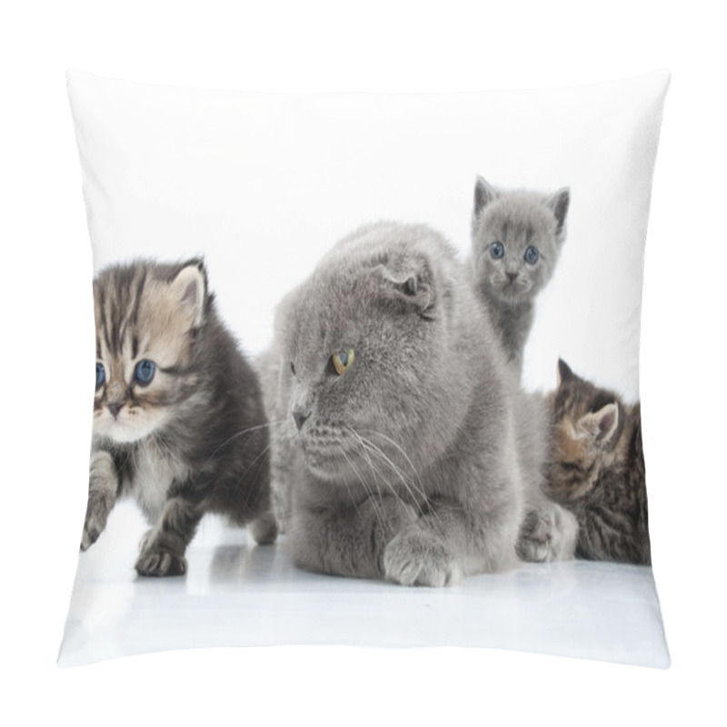 Personality  Mother Cat With Kittens Pillow Covers