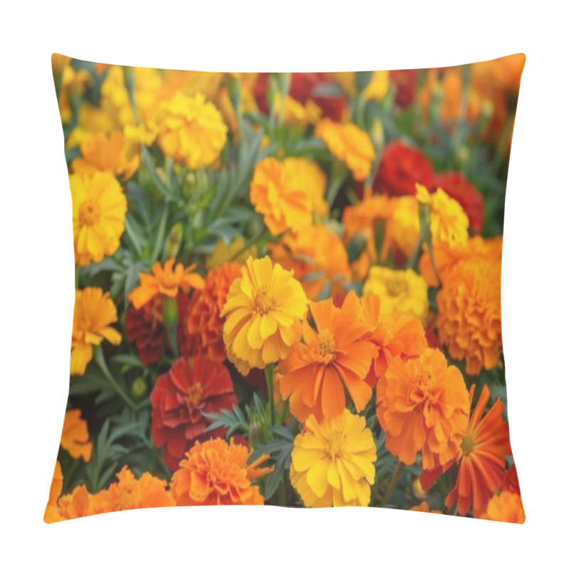 Personality  Vibrant Marigold Flowers In Shades Of Orange And Yellow Create A Stunning Floral Display. Pillow Covers