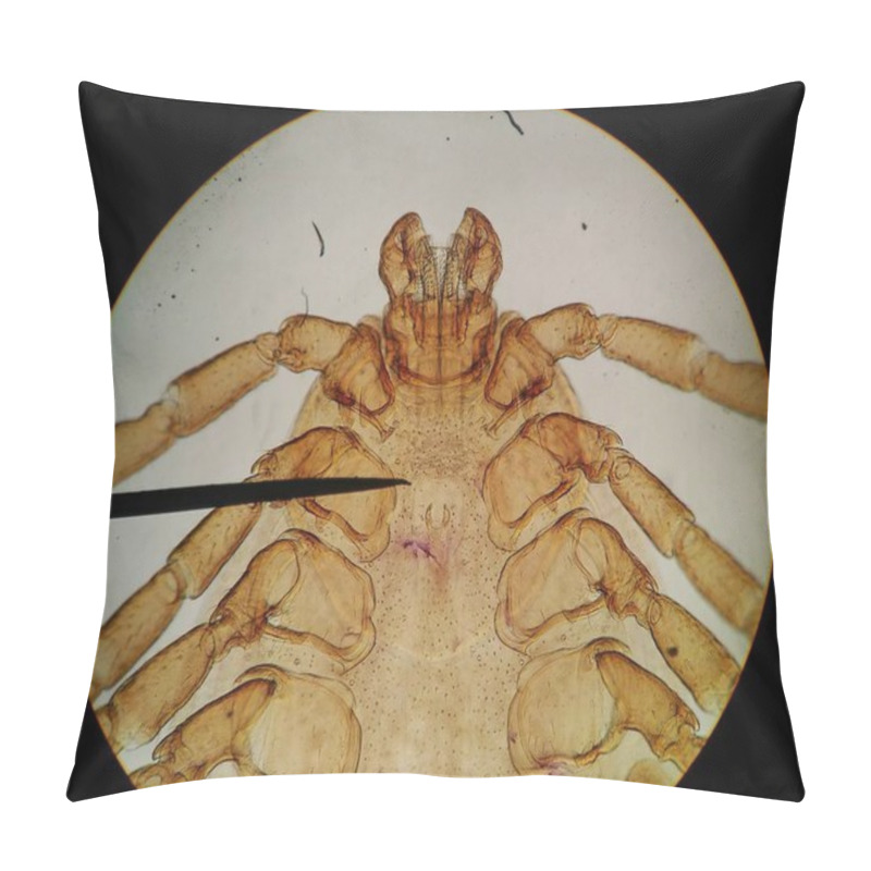 Personality  Macro Animal Parasite Find With Microscope. Pillow Covers