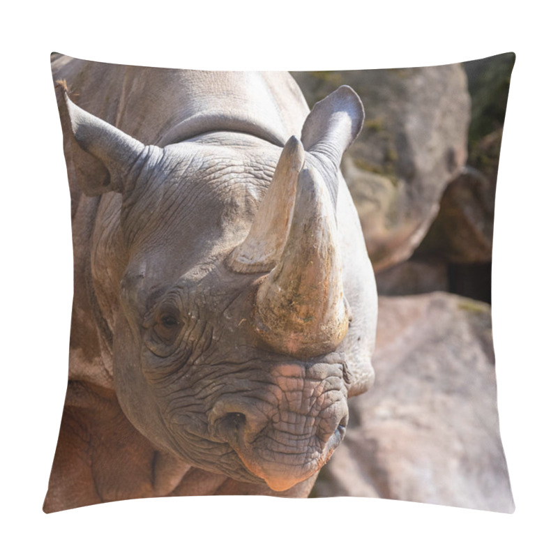 Personality  Close-up Of The Head Of A Rhinoceros, Scientific Name Ceratotherium Simum, Rhinocerotidae, Animals Pillow Covers