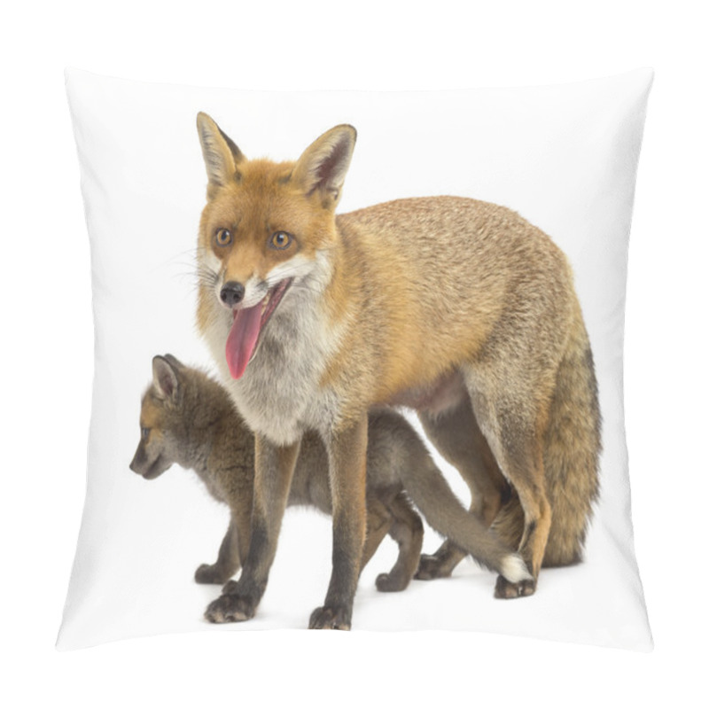 Personality  Mother Fox With Her Cub (7 Weeks Old) In Front Of A White Backgr Pillow Covers