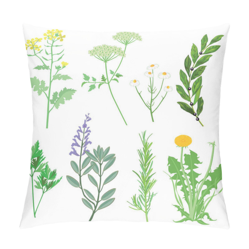 Personality  Herbs And Medicinal Plants. Botanical Illustration Pillow Covers