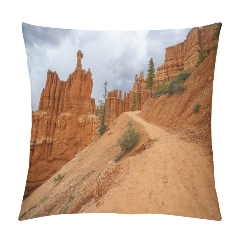 Personality  Hiking The Peek-a-boo Loop In The Bryce Canyon National Park In Utah In The Usa Pillow Covers