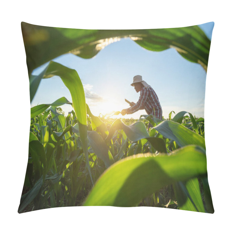 Personality   Asian Farmer Checking Quality By Tablet Agriculture Modern Technology In Growing Corn Plant Maize Field Beautiful Blue Sky Background. Agricultural Garden Of Corn Field. Pillow Covers