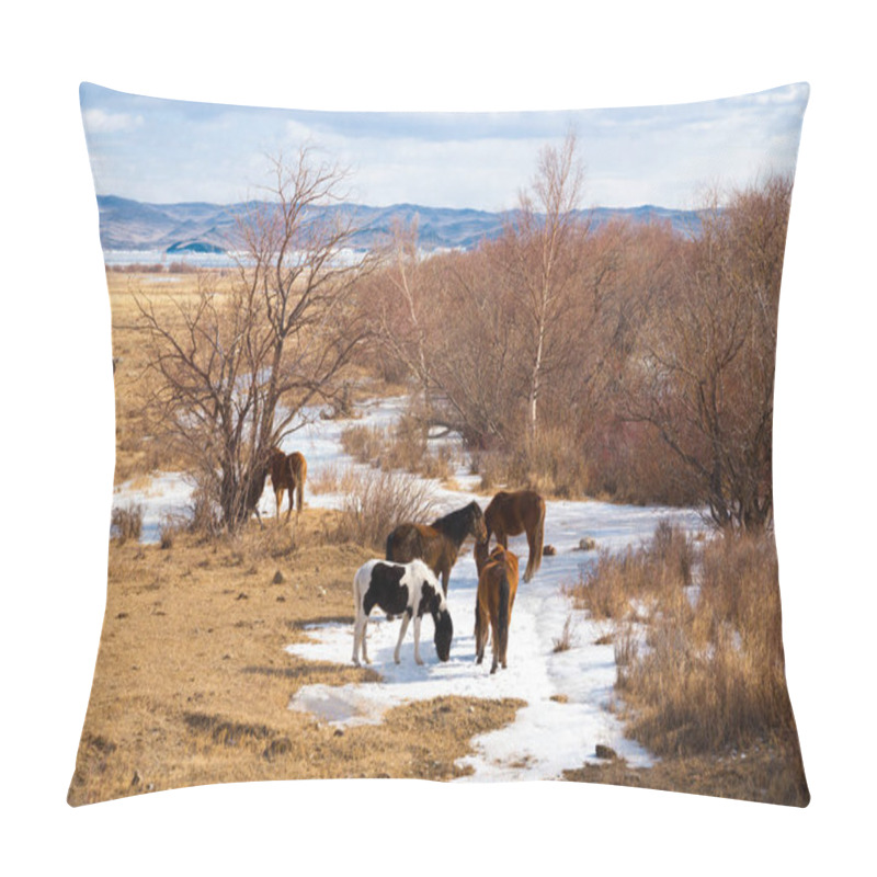 Personality  Horses Graze Near Lake Baikal In The Sarma Area In The Spring. In The Background Is Olkhon Island. Siberia, Russia.  Pillow Covers