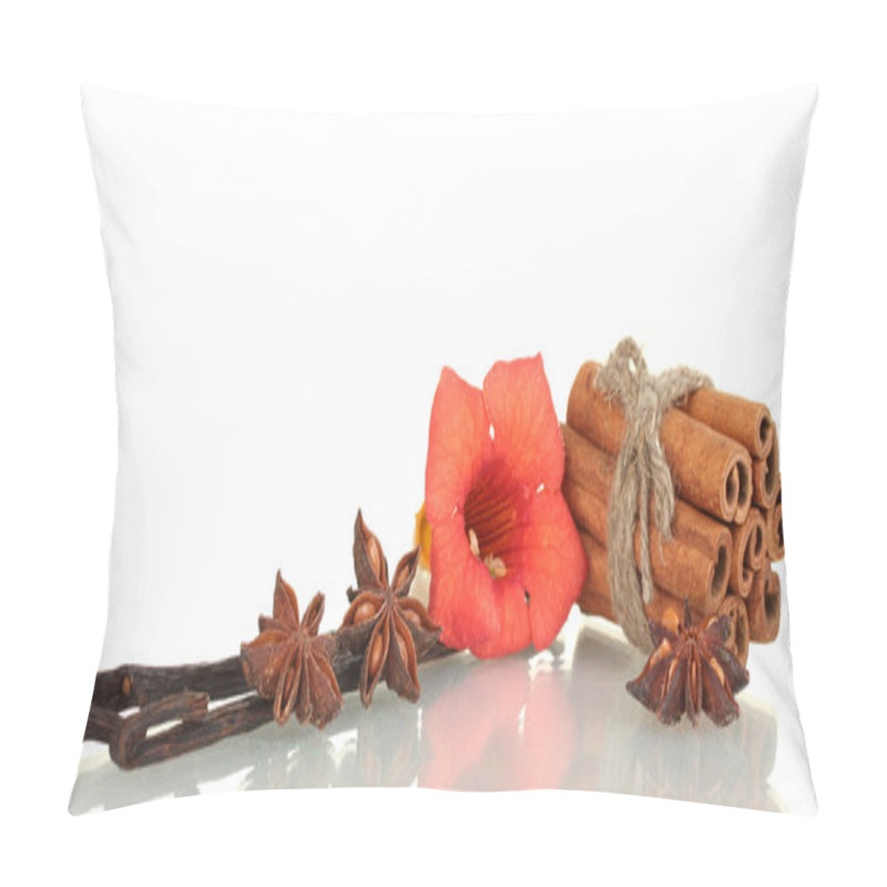 Personality  Vanilla Pods With Spices Isolated On White Pillow Covers