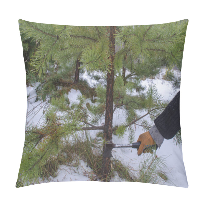 Personality  Illegal Felling Of Firs. Illegal Logging For The New Year. Cutting A Christmas Tree.  Pillow Covers