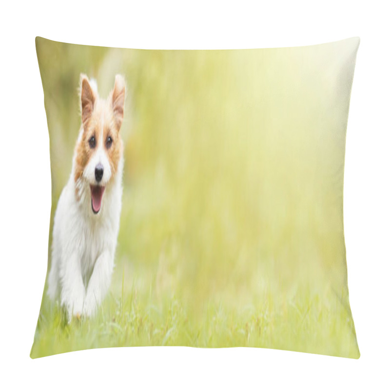 Personality  Cute Happy Fluffy Active Pet Dog Running, Walking In The Grass. Puppy Obedience Training Banner. Pillow Covers