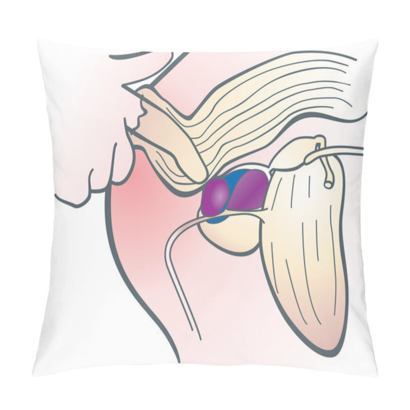 Personality  Prostate Cancer Pillow Covers