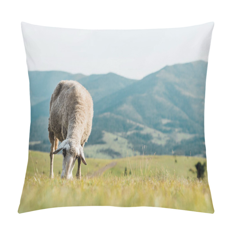 Personality  Sheep Eating Grass On A Meadow On A Summer Day Pillow Covers