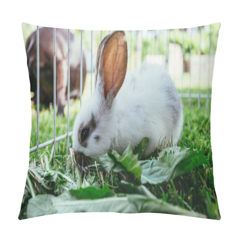 Personality  Cute Little Bunny Eats Salad In An Outdoor Compound. Green Grass, Spring Time.  Pillow Covers