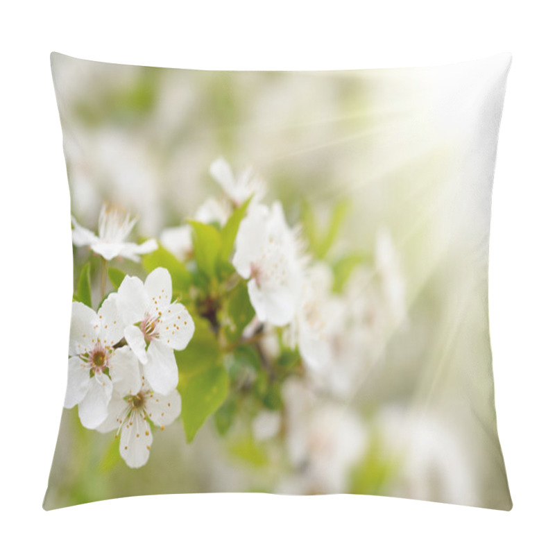 Personality  Spring Blossoms Pillow Covers