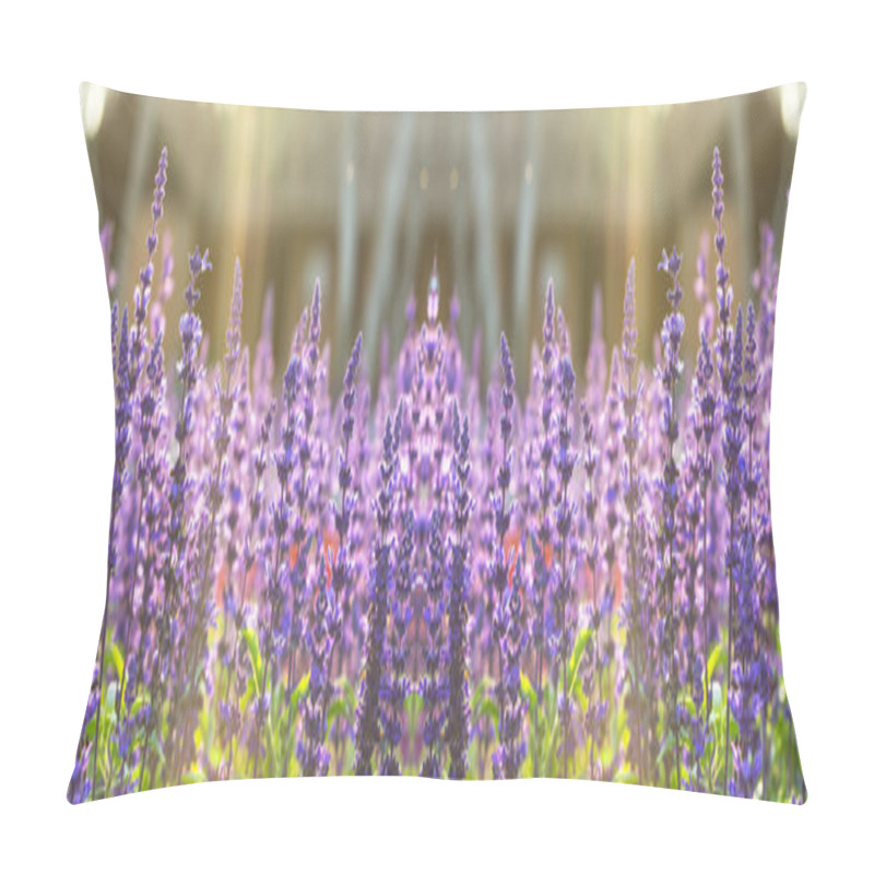 Personality  Blue Salia Field When Sunset With Light Ray Pillow Covers