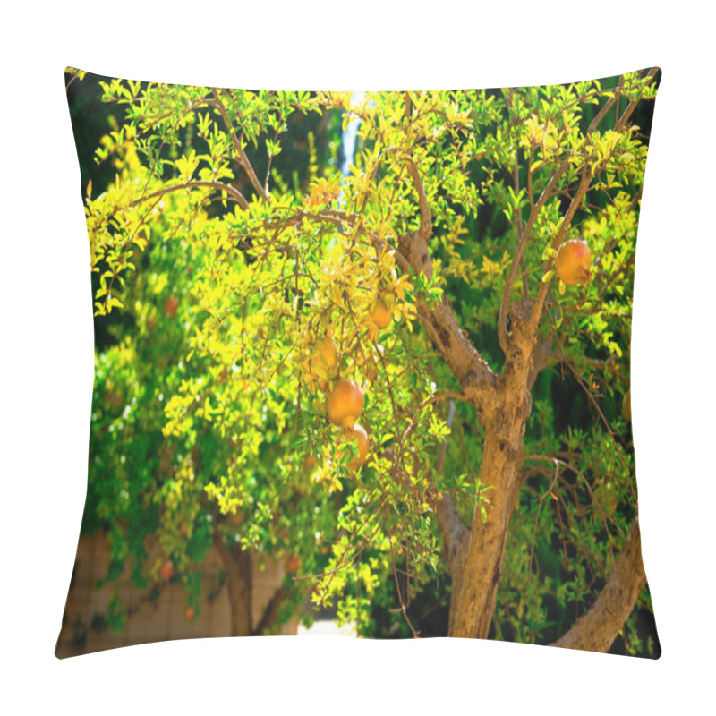 Personality  Pomegranate Tree In Spain, Granada Pillow Covers